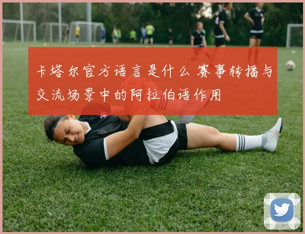 卡塔尔官方语言是什么 赛事转播与交流场景中的阿拉伯语作用
